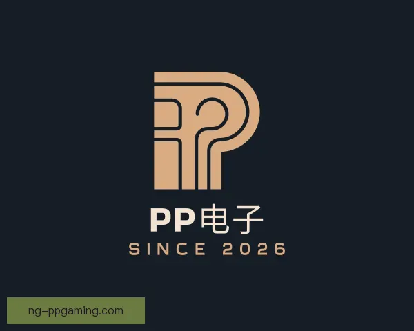了解PP电子